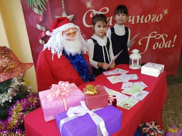 Новогоднее оформление 2019 : Фото №