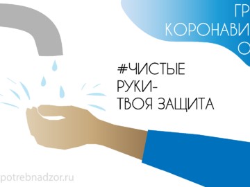 Профилактика гриппа, коронавируса и других ОРВИ : Фото №