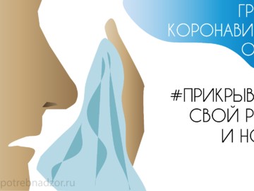 Профилактика гриппа, коронавируса и других ОРВИ : Фото №