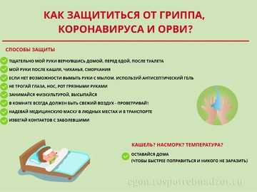 Профилактика гриппа, коронавируса и других ОРВИ : Фото №