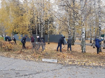 Экологический субботник 17.10.2020 г. : Фото №