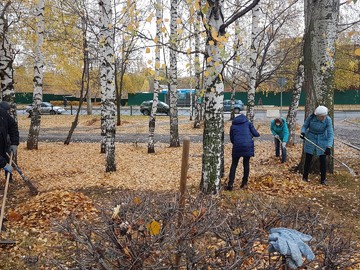 Экологический субботник 17.10.2020 г. : Фото №
