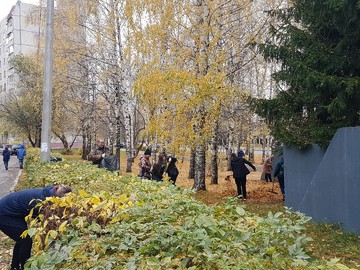 Экологический субботник 17.10.2020 г. : Фото №