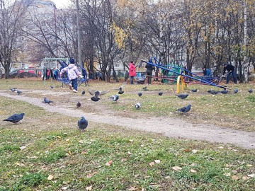 Экологический субботник 17.10.2020 г. : Фото №