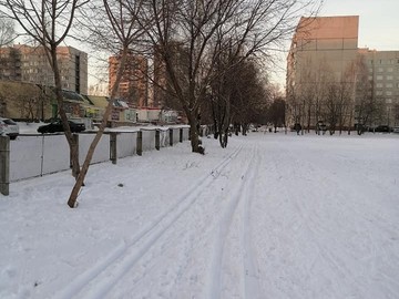 Все на лыжню! : Фото №
