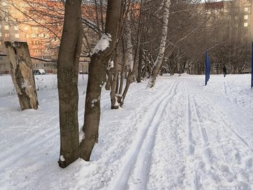 Все на лыжню! : Фото №