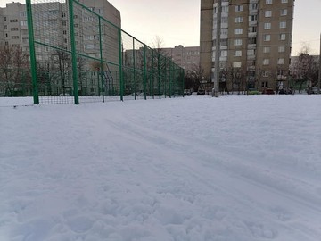 Все на лыжню! : Фото №
