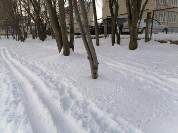 Все на лыжню! : Фото №