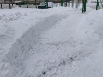 Уборка школьной территории от снега : Фото №