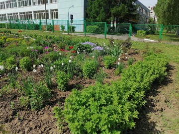 Городской конкурс на лучшее оформление территорий образовательных организаций : Фото №