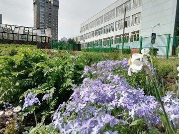 Городской конкурс на лучшее оформление территорий образовательных организаций : Фото №