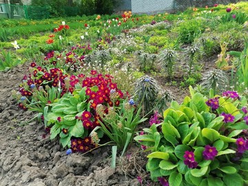Городской конкурс на лучшее оформление территорий образовательных организаций : Фото №