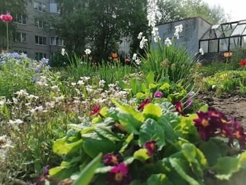 Городской конкурс на лучшее оформление территорий образовательных организаций : Фото №