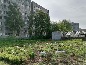 Городской конкурс на лучшее оформление территорий образовательных организаций : Фото №