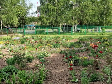 Городской конкурс на лучшее оформление территорий образовательных организаций : Фото №