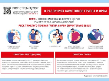 Профилактика ОРВИ и гриппа : Фото №