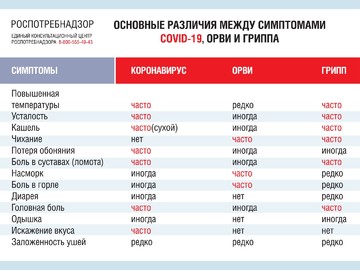 Профилактика ОРВИ и гриппа : Фото №