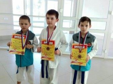 Успехи по каратэ : Фото №