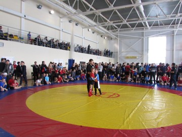 Победа в открытом лично-командном турнире Чувашской Республике по спортивной борьбе «панкратион» : Фото №